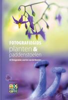 Fotografiegids planten en paddenstoelen (Hardback)