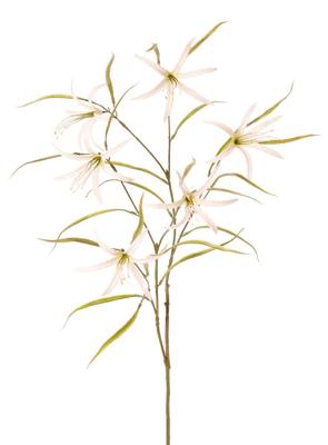 Lelie Spider Lycorisspinlelie vertakt met 6 bloemen & 24 blaadjes 94 cm - Top art