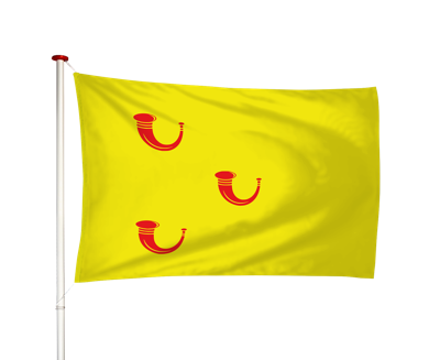 Vlag Leende
