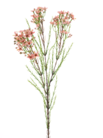 Wax flower spray pink 78 cm kunstbloem - Nova nature