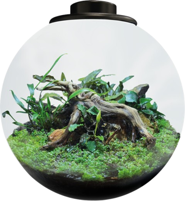 BioArt Bowl 225 zwart