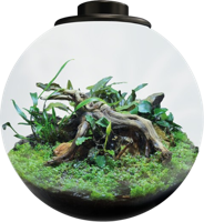 BioArt Bowl 225 zwart BioArt Bowl 225 zwart