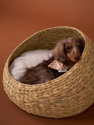 Ovale mand voor huisdier FAMILY beige