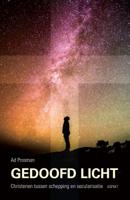 Gedoofd licht (Paperback)