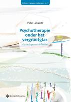Psychotherapie onder het vergrootglas (Paperback)
