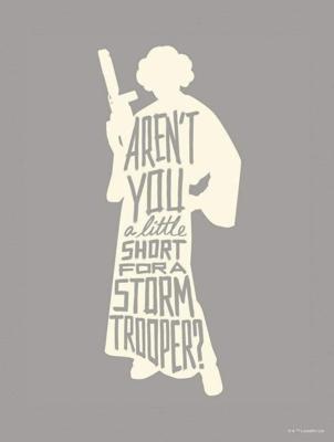 Kunstdruk Star Wars - Silhouette Quotes Leia 30x40cm
