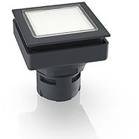 RAFI 1.30.090.001/1000 1.30.090.001/1000 Verlichte druktoets (l x b x h) 24.9 x 24.9 x 26.2 mm 1 stuk(s)