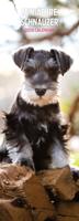 Miniatuur Schnauzer Kalender 2026 Slimline