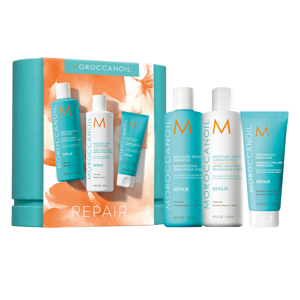 Moroccanoil Spring Set Repair