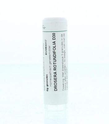 Homeoden Heel Drosera rotundifolia D30 6 Gram Homeoden Heel Drosera rotundifolia D30 6 Gram