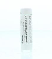 Homeoden Heel Drosera rotundifolia D30 6 Gram