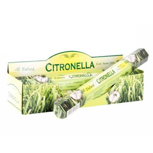 Citronella geursticks - 4x - 25 cm - citrusgeur