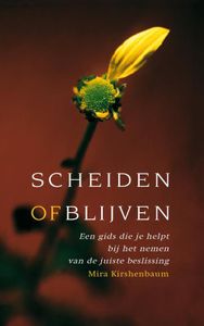 Scheiden of blijven - Mira Kirshenbaum - ebook