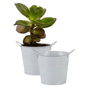 Emmer/plantenpot/bloempot - 2x - zink - whitewash - D18 x H16 cm