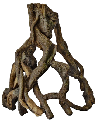 Superfish Forest Deco Wood Mangrove wortel large