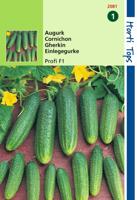 Augurken Profi F1 - Hortitops