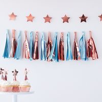 Ginger Ray TW-810 Twinkle Twinkle Blauwe Tasselslinger