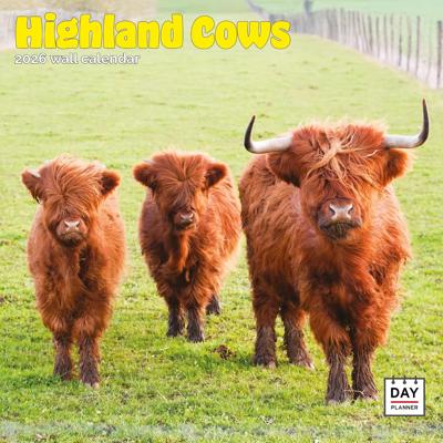 Schotse Hooglanders Kalender 2026