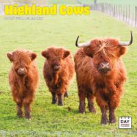 Schotse Hooglanders Kalender 2026