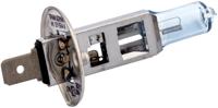 SPAHN headlight bulb 12v 55w h1 xenon p14.5s