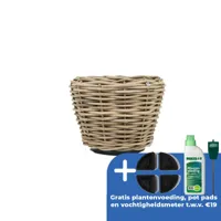 Drypot Sawah Extra Dik Rotan Grijs d68h52cm met dichte inzetpot