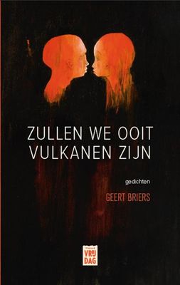 Zullen we ooit vulkanen zijn - Geert Briers - ebook