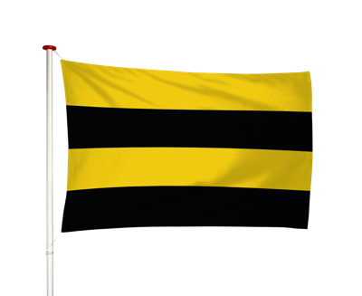 Vlag Workum - Warkum (fr)