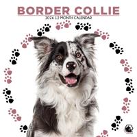 Border Collie Kalender 2026