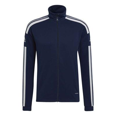 Heren Sportjas Adidas Sq21 Tr Blauw Maat M