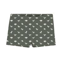 Slipstop wasbare zwemluier trunk Dino Green-9-12 mnd