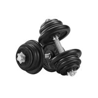 Gietijzeren dumbbells 50 kg