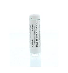 Rhus toxicodendron D12