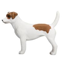 Mojo farmland jack russell terriër 387286