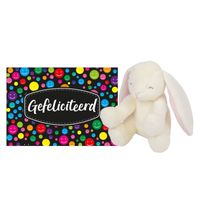 Pluche knuffel cadeau Konijn 20 cm met A5-size Gefeliciteerd wenskaart - thumbnail