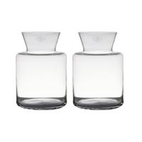 Set van 2x stuks transparante luxe vaas/vazen van glas 27 x 19 cm