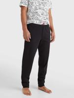 Tommy Hilfiger - Jogger - Tommy Jeans - BDS, Maat:M