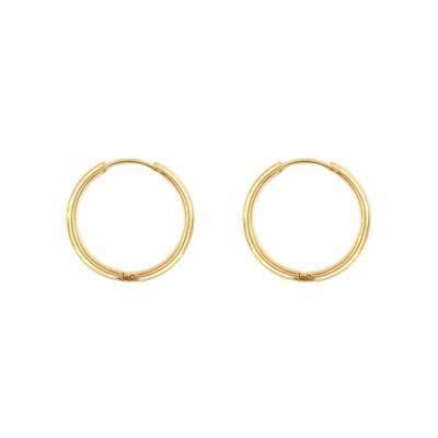 Oorbellen creolen | 8-17 mm | voor verwisselbare hangers - Goud - 14mm