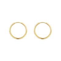 Oorbellen creolen | 8-17 mm | voor verwisselbare hangers - Goud - 14mm