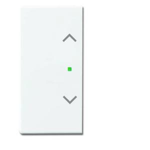 Busch-Jaeger 2CKA006220A0055 Afdekking 2-voudig free@home Verkeerswit, Wit 1 stuk(s)