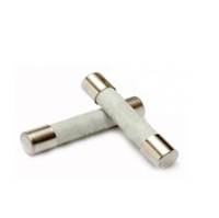 BENNING Zekeringen 1 A t.b.v. MM 2, 3, 5, 6, 7 (10 stuks)