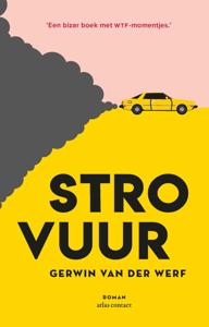 Strovuur (Paperback)