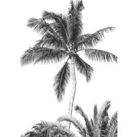 Fotobehang - Retro Palm 200x280cm - Vliesbehang - thumbnail