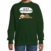 Luiaard Kersttrui sweater - Wake me up when christmas is over - groen - kinderen - Kerstkleding