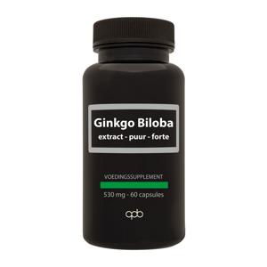 Apb Holland Ginko biloba