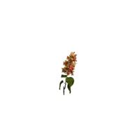 Kunstbloem hydrangea cone 75cm orange