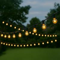 Solar lichtslinger chain met 50 led filament lampen