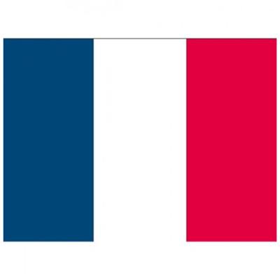 Vlag van Frankrijk stickers - 30x - 7 x 10 cm - La France - Franse vlaggetjes Vlag van Frankrijk stickers - 30x - 7 x 10 cm - La France - Franse vlaggetjes