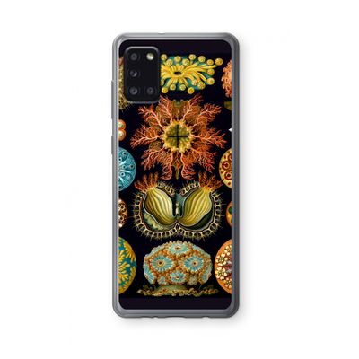 Haeckel Ascidiae: Samsung Galaxy A31 Transparant Hoesje