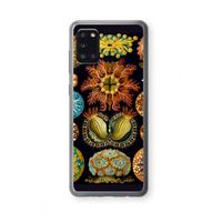 Haeckel Ascidiae: Samsung Galaxy A31 Transparant Hoesje