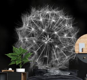Paardenbloem fotobehang Blowball bloem grijs